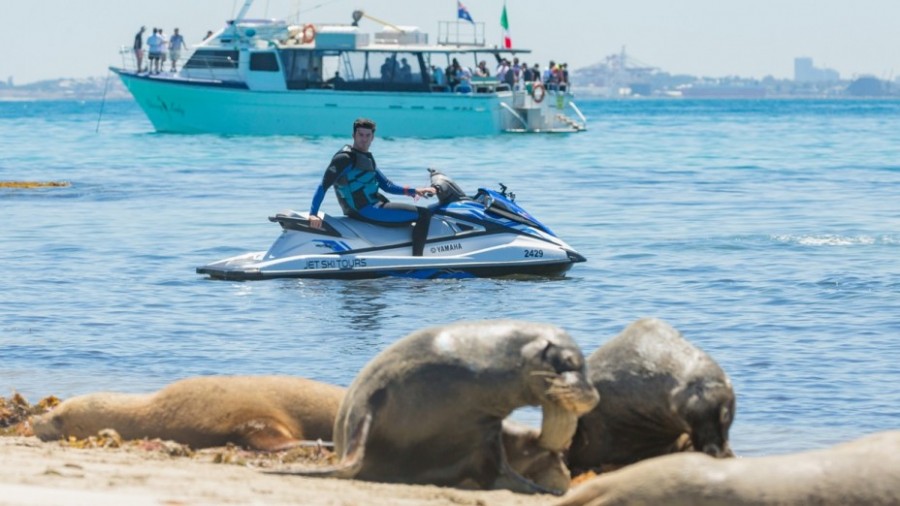 Jet-ski-tour-Perth-Carnac-Tour-e1538222934542